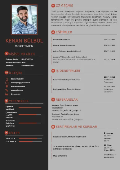 cv indir